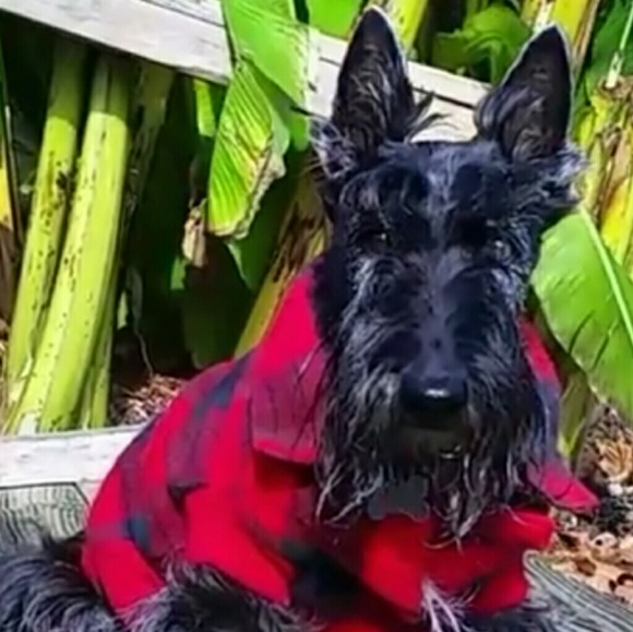 ❤️The love of my life RIP 12/2/18❤️ - Picture 2 of 7